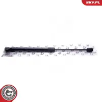 ESEN SKV Kaasujousi, tavaratila 52SKV748