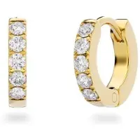 Edblad Glow kullatut korvakorut S 126886