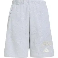Adidas Seasonals Collegiate Typography Shortsit