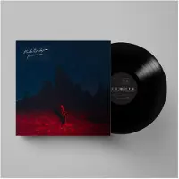 Import - Punisher (LP)
