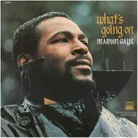 Universal Music - What's Going On (LP)