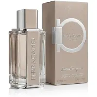 Salvatore Ferragamo Bright Leather Eau de Toilette -tuoksu miehille 50 ml