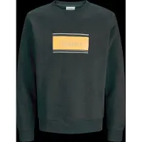 Jack & jones Jjbuster Sweat Crew Neck Bts Jnr - Green - 164
