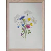 Kunskapstavlan® Sju Sorters Blommor - Multi/patterned - A4