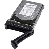 Dell Nearline - Kiintolevy - 4 TB - sisäinen - SAS 6Gb/s - Nearline - 7200 rpm - PowerEdge R220, R320, R415, R420, R515, R520, R720, T320, T420, T6...