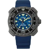 Citizen Bn0227-09l Kello