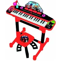 Reig Musicales Organ With And Bench Lady Bug Mikrofoni