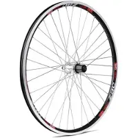 Gurpil Zac Inox 26´´ 7s Tubeless Mtb Hinterrad