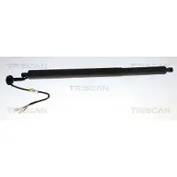TRISCAN Kaasujousi, tavaratila 8710 23320