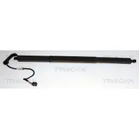 TRISCAN Kaasujousi, tavaratila 8710 29338