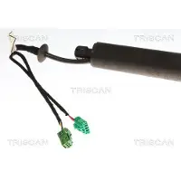 TRISCAN Kaasujousi, tavaratila 8710 28304