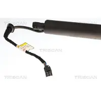 TRISCAN Kaasujousi, tavaratila 8710 43317