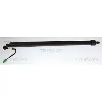 TRISCAN Kaasujousi, tavaratila 8710 28312