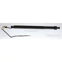 TRISCAN Kaasujousi, tavaratila 8710 28307