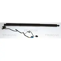 TRISCAN Kaasujousi, tavaratila 8710 23317