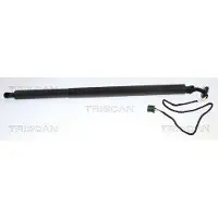 TRISCAN Kaasujousi, tavaratila 8710 23325