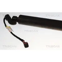 TRISCAN Kaasujousi, tavaratila 8710 29331