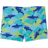 Speedo Print Aqua Uimashortsit