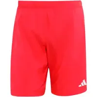 Adidas Surffishortsit 'ESS' punainen