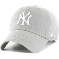 47 Mlb New York Yankees Lippis