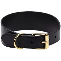 Collar of Sweden Vinttikoirapanta , musta