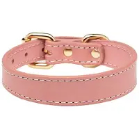 Collar of Sweden solkipanta kapea, pinkki