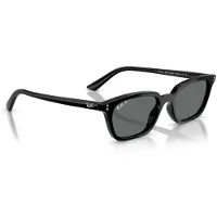 Ray-Ban Zaya - RB4456 667781 5319