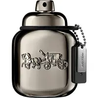 Coach Pure Platinum Parfum 40 ml