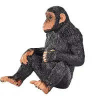 MOJO Wildlife Chimpanzee