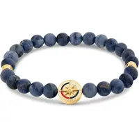 Tommy Hilfiger Compass rannekoru sininen 2790723