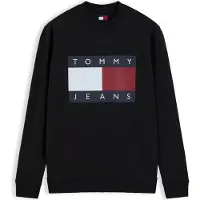 Tommy Hilfiger Dm0dm22643 Collegepaita