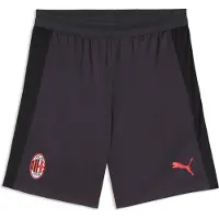 Puma Ac Milan Training Shorts W/ Pockets - Grey - S