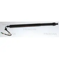 TRISCAN Kaasujousi, tavaratila 8710 28310
