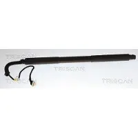 TRISCAN Kaasujousi, tavaratila 8710 11375