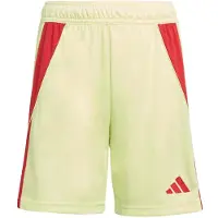 Adidas Tiro 24 Shortsit