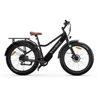 Rawbike URBAN Jet Black
