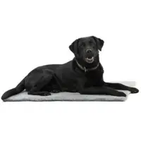 Kruuse Vet Bed, harmaa, 150 x 75 cm