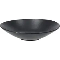 Scandi Living Terra pastalautanen Musta kivitavara, Ø22,5 cm