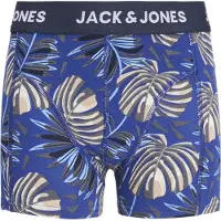 Jack & Jones Junior Alushousut 'JACHENDO' sininen / laivastonsininen / pastellinvihreä / valkoinen