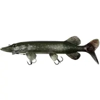 FOX Rage Ultra Natural Pike Replicant Pehmeä Viehe 320 Mm