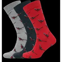 Barbour Pheasant Socks Gift Box - Multi/patterned - ONE SIZE