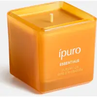 Ipuro Pumpkin Pie tuoksulasikynttilä