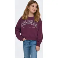 ONLY Kogsweat Ls Crew Ovz Stat Swt Noos - Burgundy - 122-128