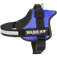 JULIUS K-9 Power Koiran Valjaat