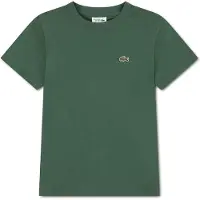 Lacoste T-paita Vert Vert 116 cm Vihreä 116 cm Pojat