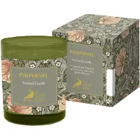 Kärkkäinen William Morris Pimpernel tuoksukynttilä
