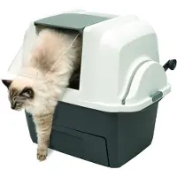 Catit Kissanvessa SmartSift