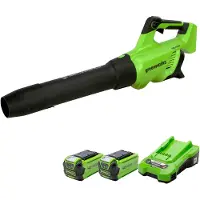 Greenworks Akku lehtipuhallin GD40ABIIK2X; 40 V; 2x2,0 Ah akku