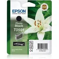 Epson T0591 Mustepatruuna musta foto