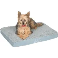 Zooplus Exclusive Memory-koiranpeti, suorakulmainen, harmaa, P72 x L50 x K9,5 cm